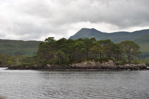 Loch Maree (6)