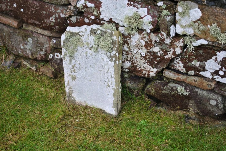 Quarff graveyard, Shetland (8)