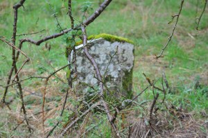 Chapelton Burial Ground (17)