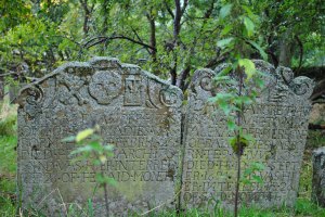 Chapelton Burial Ground (31)