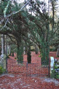 Old Craigs Inverness (15)