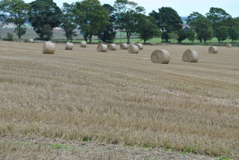 Aberlemno sculptured stones (10)