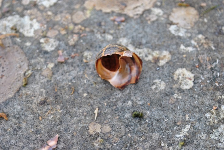 Lochinver, Sutherland (8)