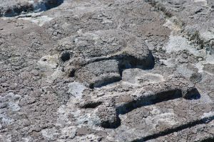 Kilbrandon churchyard (23)