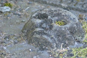 Kilbrandon churchyard (25)