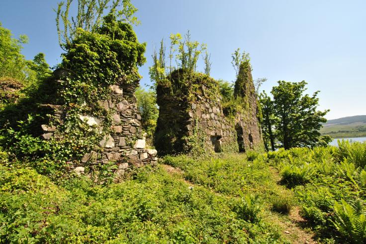 Fraoch Eilean, Loch Awe (18)