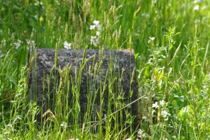 kinlochlaigh-old-churchyard-13