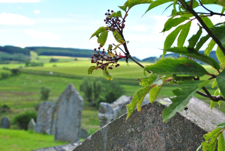 Kildrummy old churchyard bathed in summer sunlight is a beautiful place to be and rest. Final resting place graves are often called; here we finally rest, when we have left this earth. 