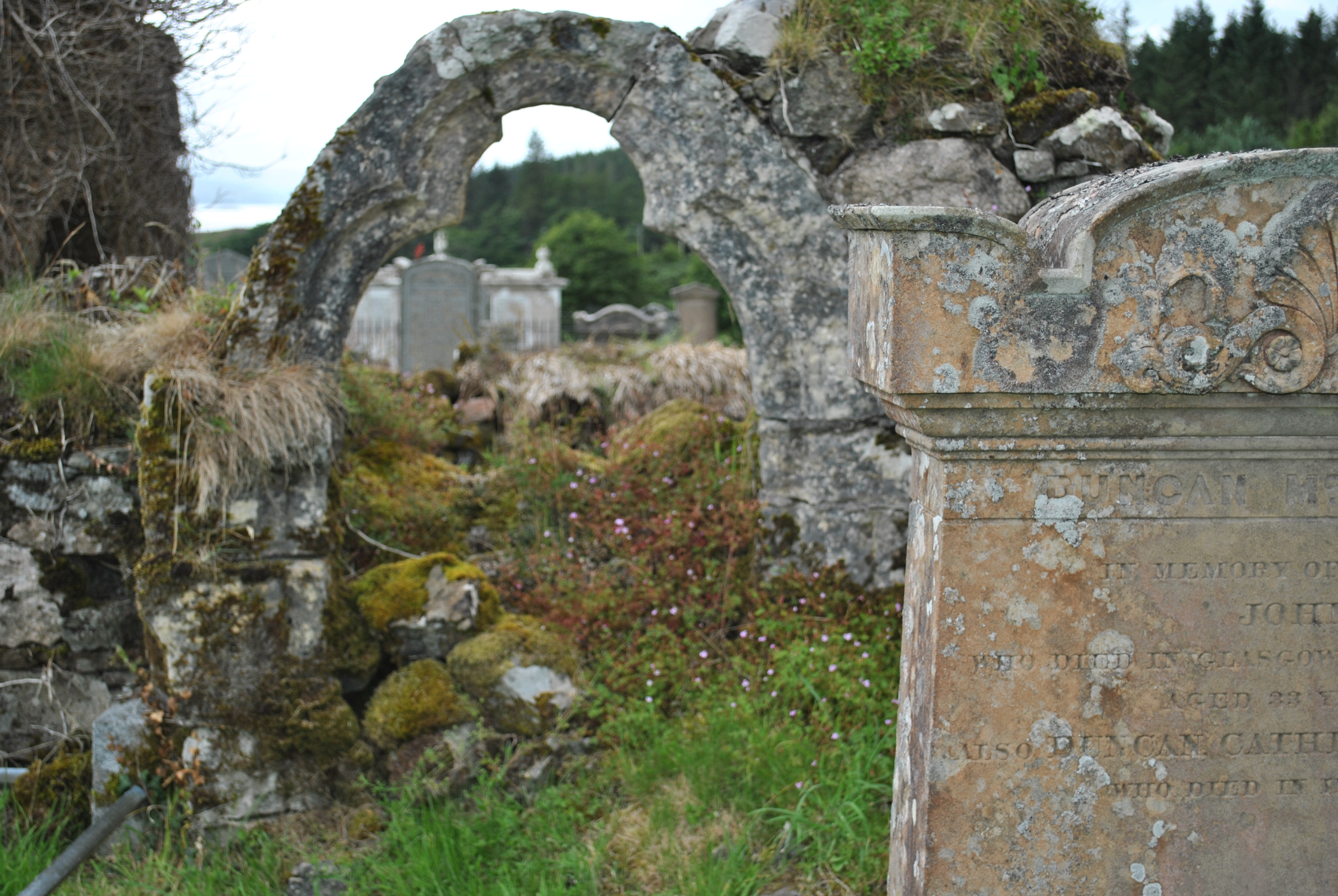 ruin medieval church, Cill Choluimchille, Lochaline, Morvern, Scotland