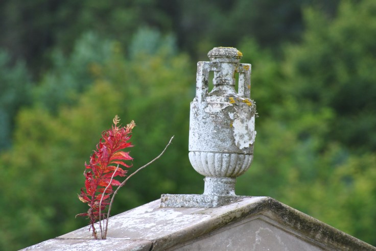 #grave # Morvern #Donald LIvingstone