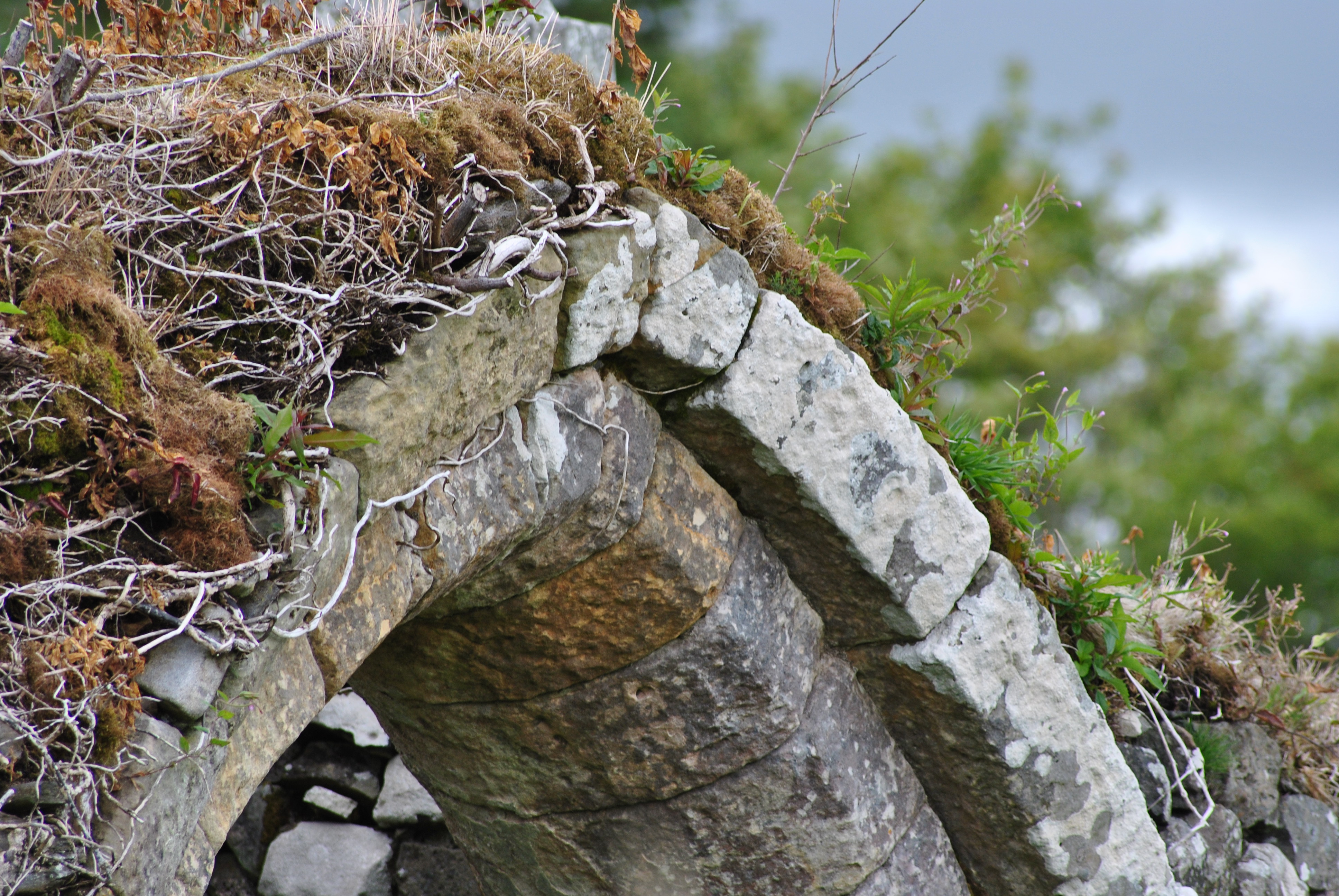 ruin medieval church, Cill Choluimchille, Lochaline, Morvern, Scotland