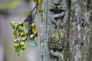 Brechin Cathedral graveyard