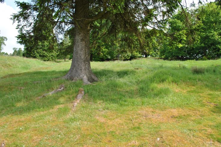 The Romans had occupied parts of Perthshire about 2000 years ago. They came further north than expected in 200 AD. Their number was legion, Caracalla led a force of about 30.000 men. They camped near Braco at Black Hill, one of the steepest hills in the Sidlaw range. They had all in all built 7 camps, a vast area with several watchtowers, their campaign lasted for 140 years. 