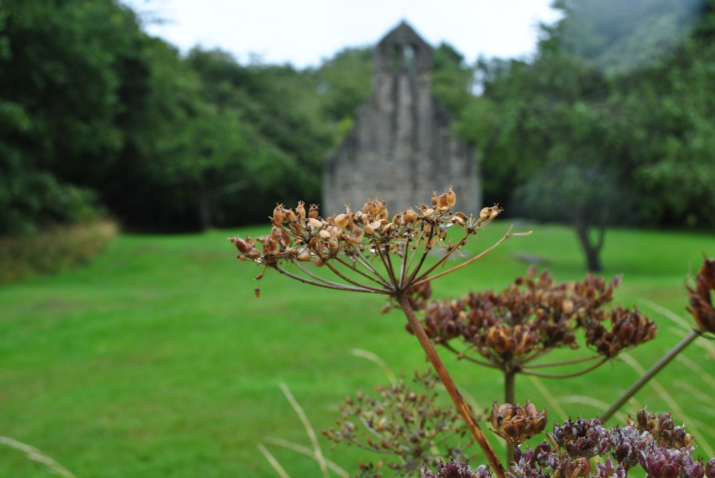 for the villagers, not the Hamiltons Kinneil graveyard Graveyards of Scotland Nellie Merthe Erkenbach