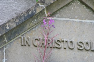 Graveyard of Scotland Nellie Merthe Erkenbach Kirkyard Trail Muckhart