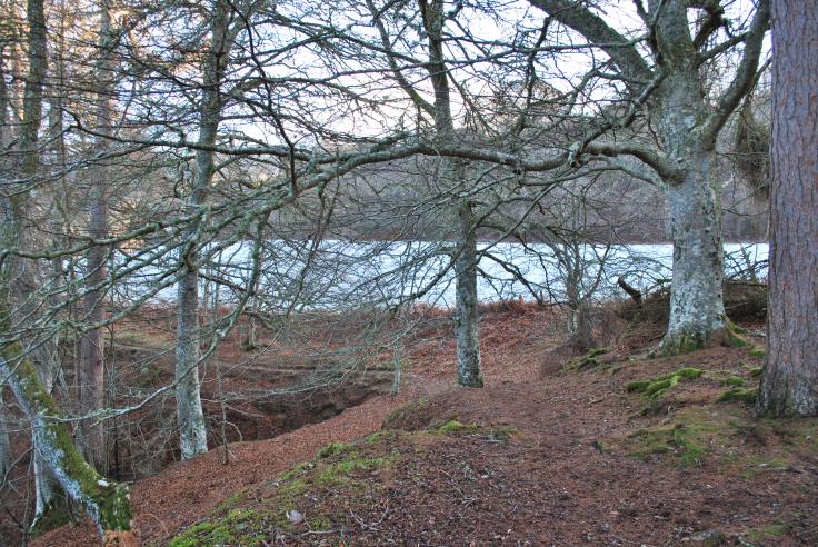 Graveyards of Scotland Foyers Glenmorriston Jane Fraser memorial