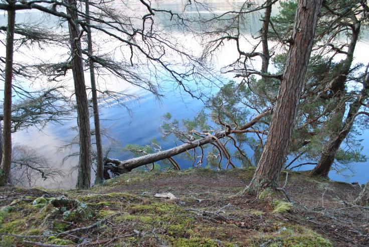 Graveyards of Scotland Foyers Glenmorriston Jane Fraser memorial