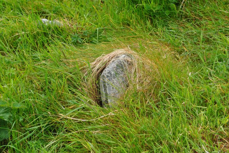 ©nme Graveyards of Scotland Huishinish burial ground Isle of Harris 