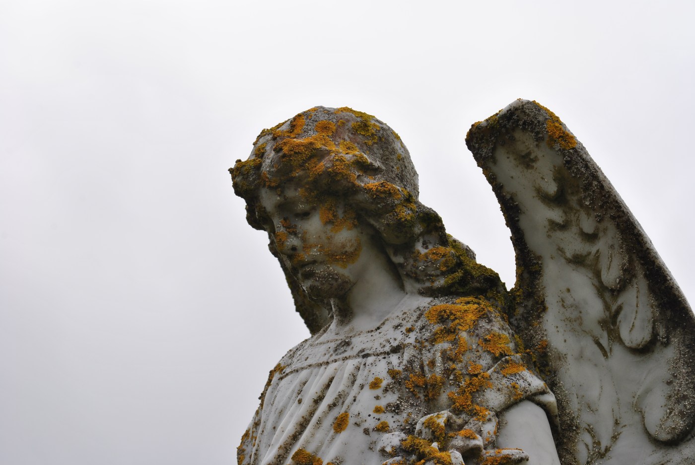 angel moss lichen graveyard grey sky