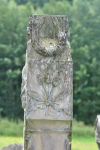 three thistles on side of gravestone