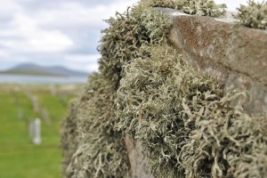 ©nme Graveyards of Scotland Isle of Harris Western Isle death on the beach