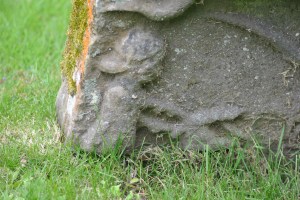farmer working the plough
