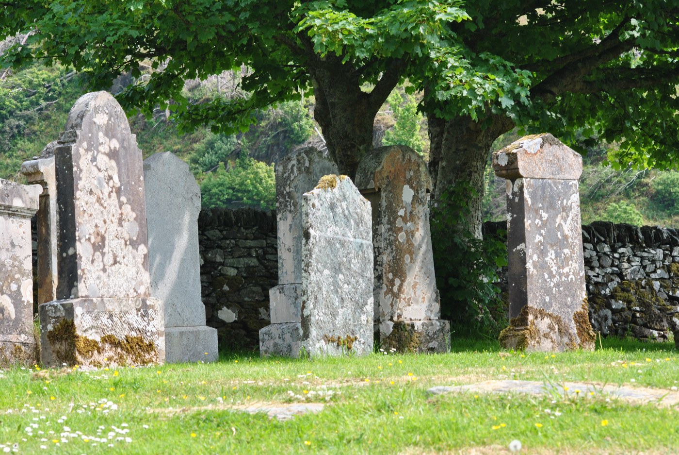 heastones under tree in summer sun