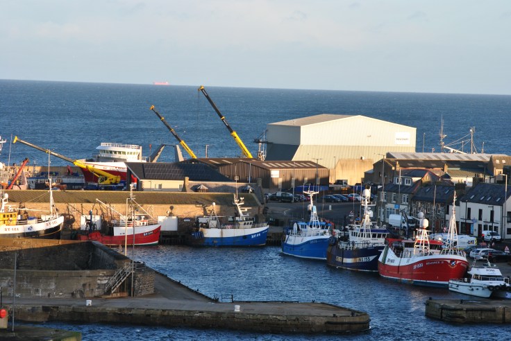 Macduff harbour