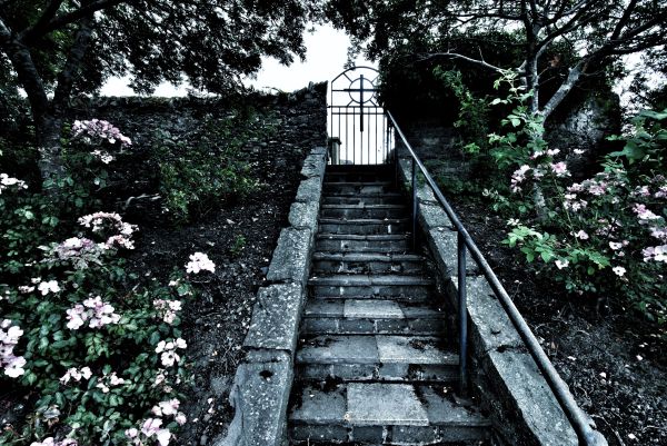 stairs to Selkirk graveyard