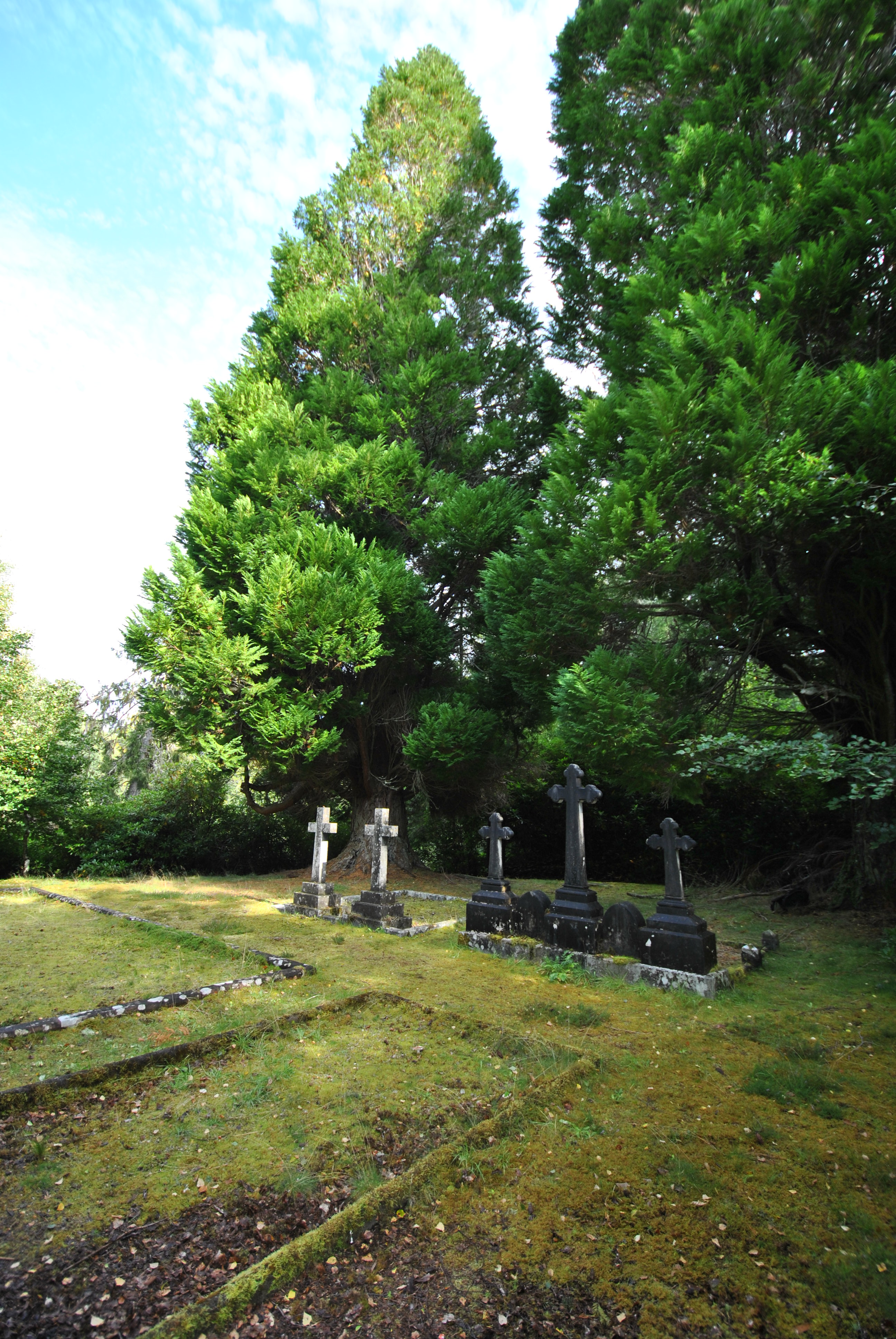 Chisholm burial ground Erchless Castle (42)