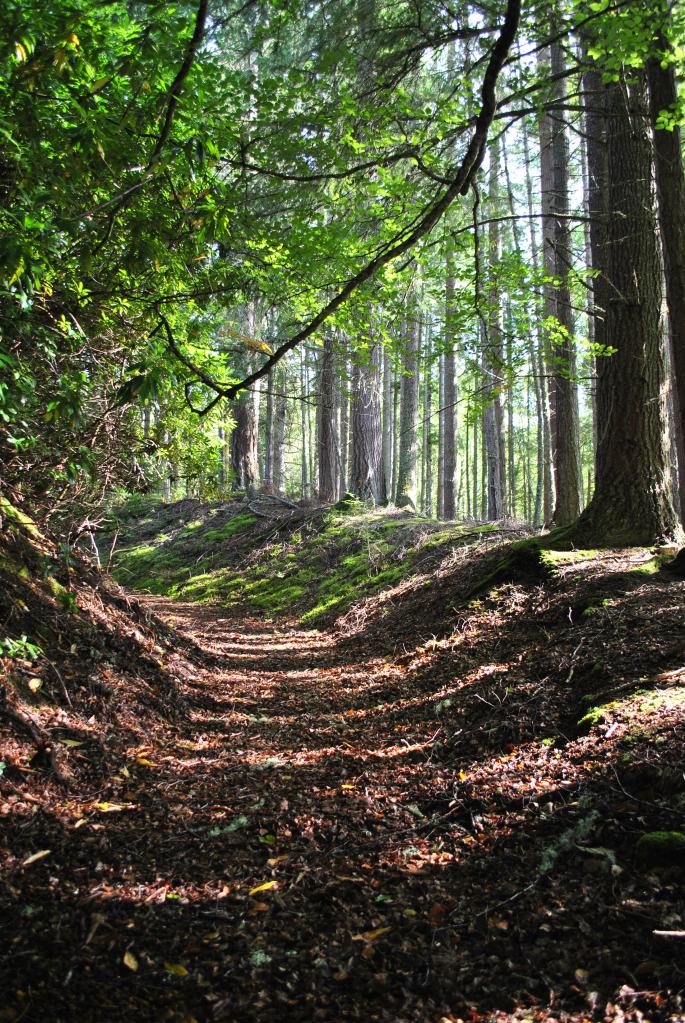 Chisholm burial ground Erchless Castle (66)