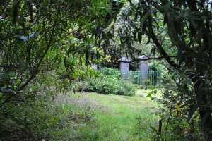 Kilianan graveyard, Abriachan, Loch Ness