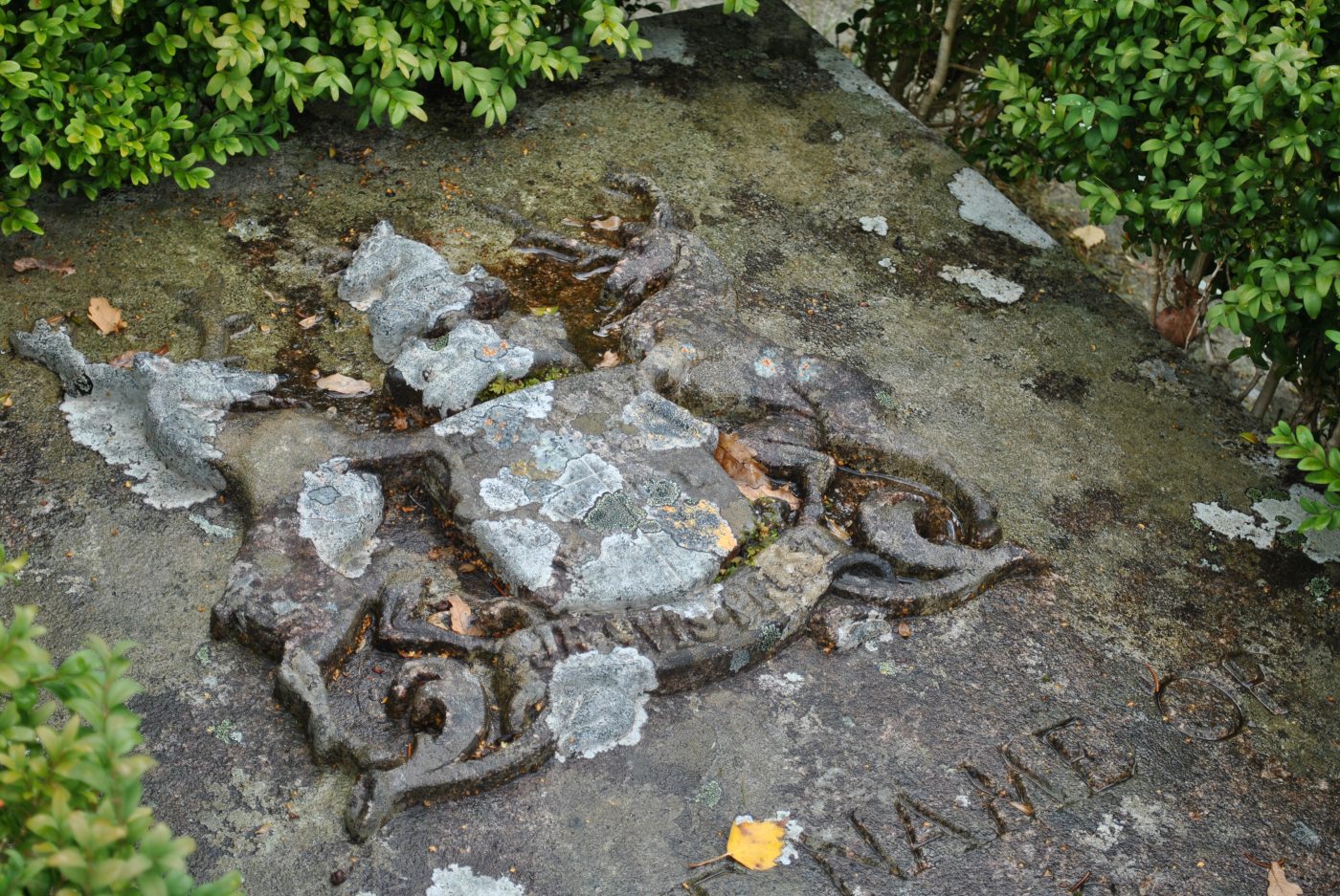 Lovat crest on gravestone St Marys Chapel Eskadale 2 (18)
