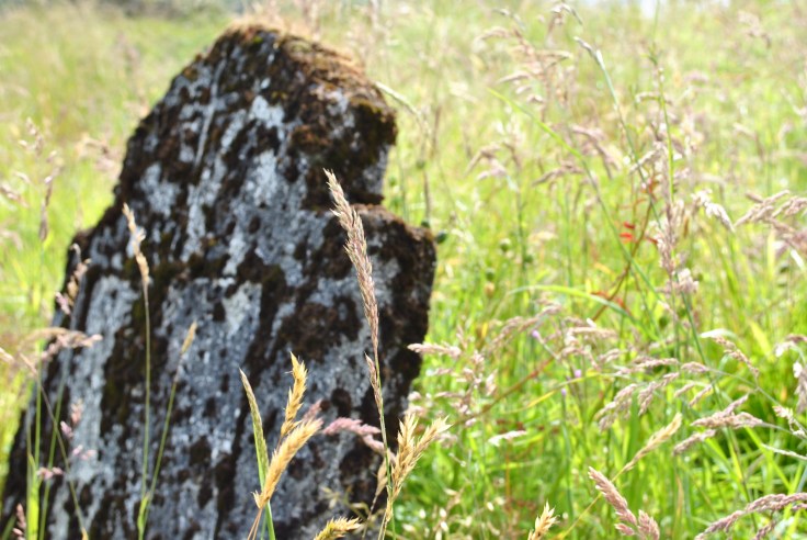 Green Isle graveyard, Loch Shiel