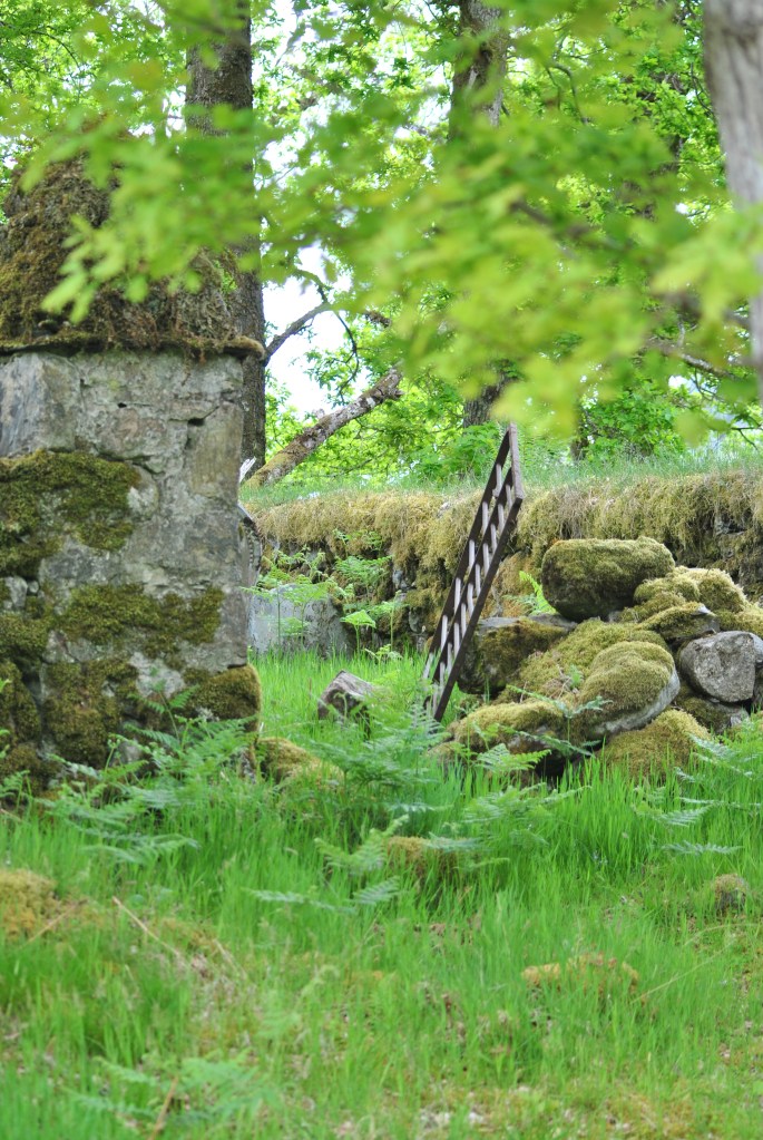 Cameron graves Clunes graveyard @nme Nellie Merthe Erkenbach Graveyards of Scotland