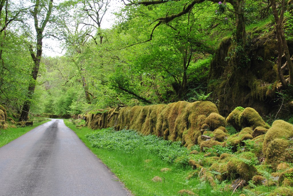 The Dark MIle ©nme Graveyards of Scotland Fatal Glen Nevis